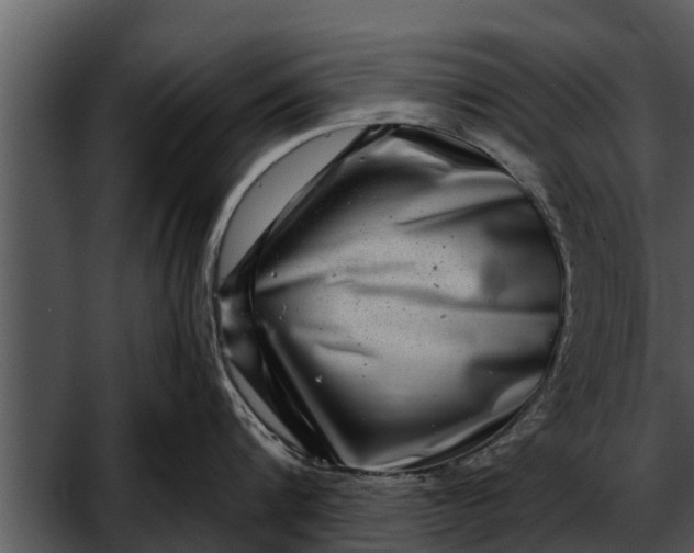 X0000052590816200507152343