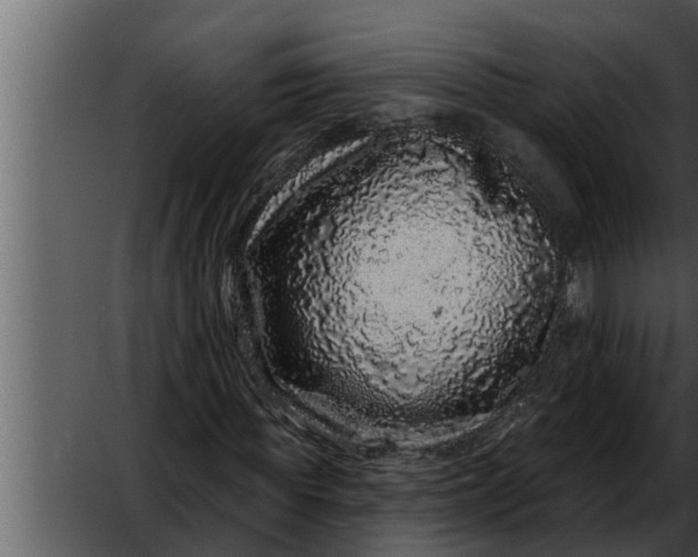 X0000052590819200507152342