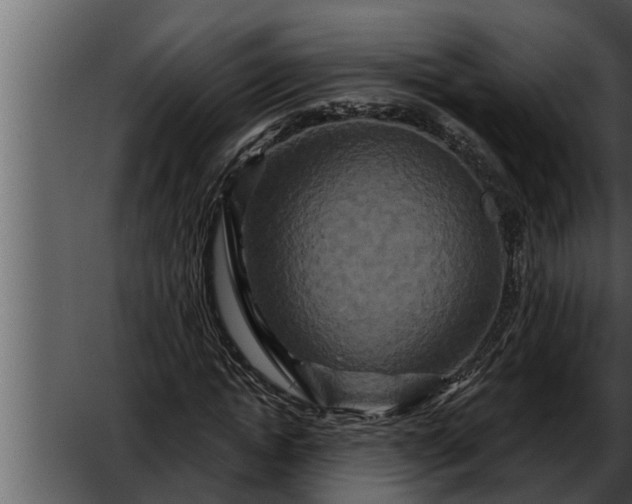 X0000052590822200507152342