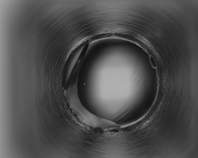 X0000052590826200507152342