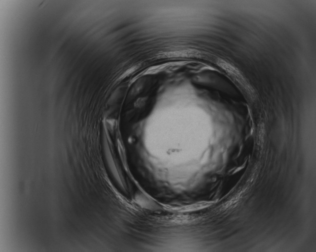 X0000052590841200507152342