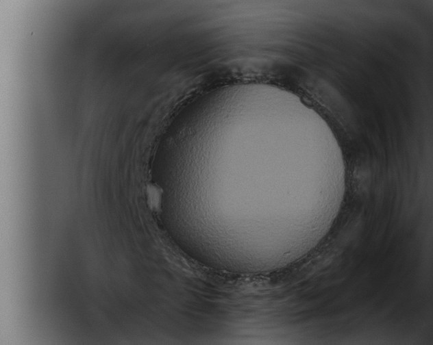 X0000052590865200507152342