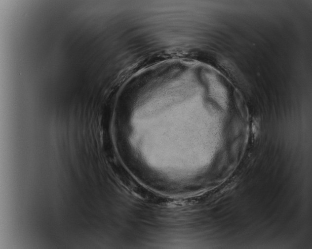 X0000052590867200507152342
