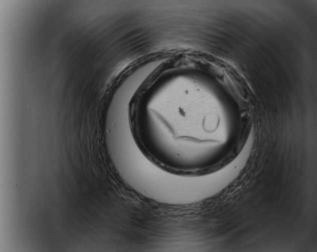 X0000052590871200507152342