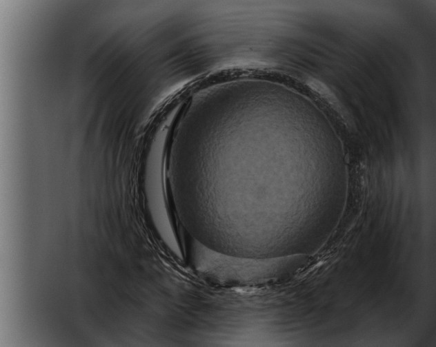 X0000052590872200507152342