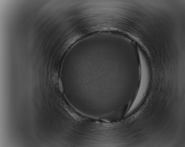 X0000052590881200507152342