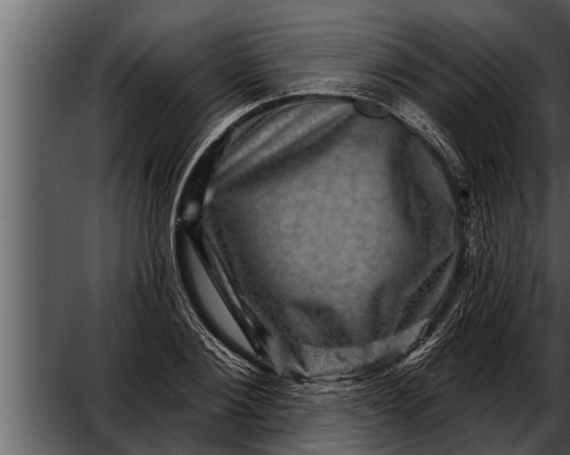 X0000052590884200507152342