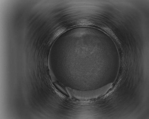 X0000052590889200507152342