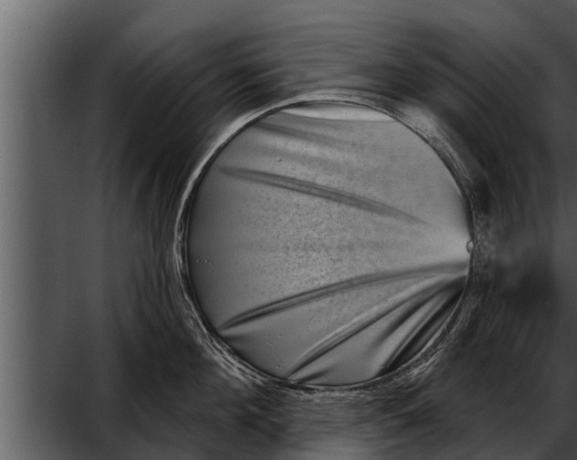 X0000052590908200507152341