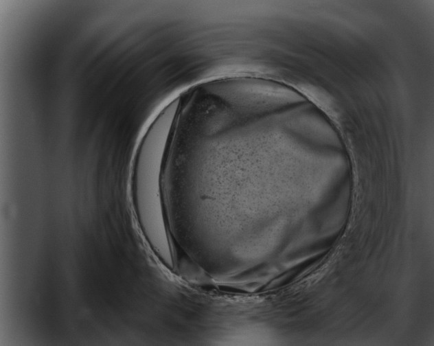 X0000052590912200507152341