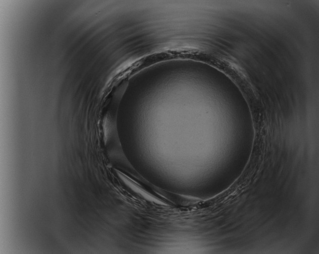 X0000052590920200507152341