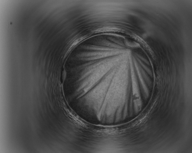 X0000052590937200507152341