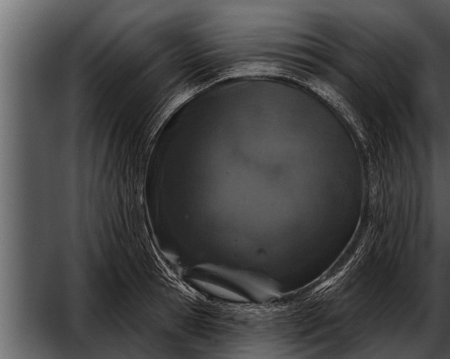 X0000052590945200507152341