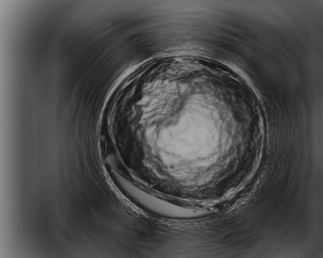 X0000052590949200507152341