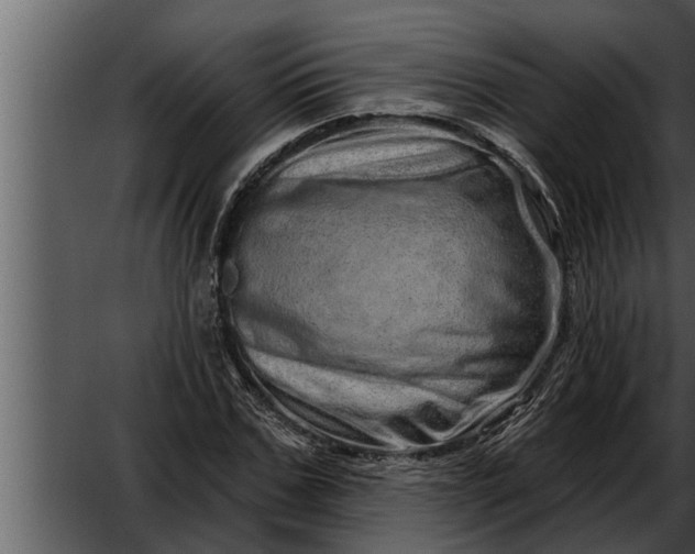 X0000052590971200507152340