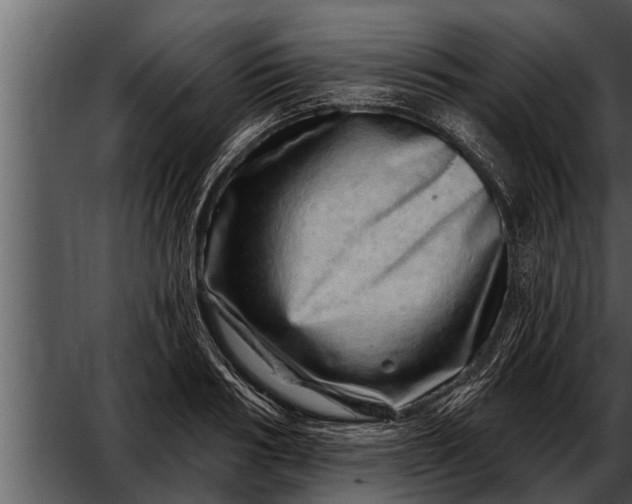 X0000052590986200507152340