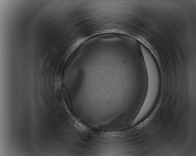 X0000052590993200507152340