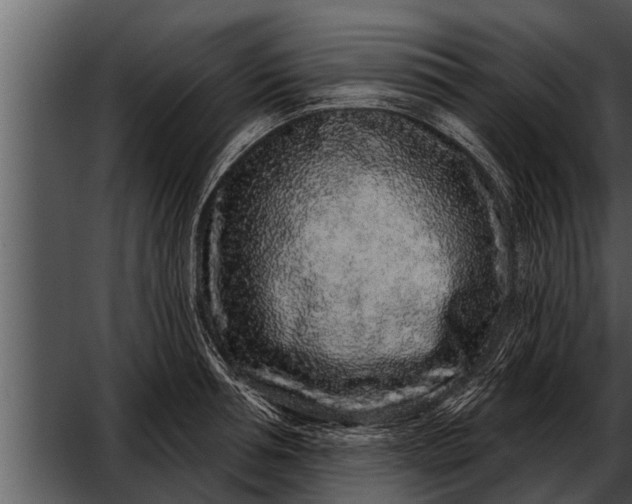 X0000052590994200507152340