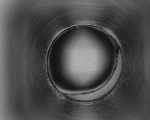 X0000052590996200507152340