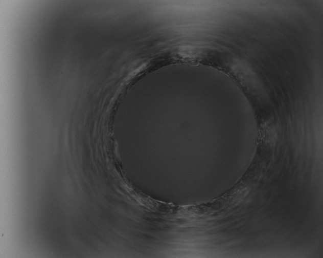 X0000052591009200507152339
