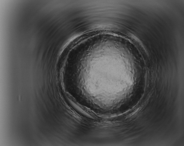X0000052591019200507152339