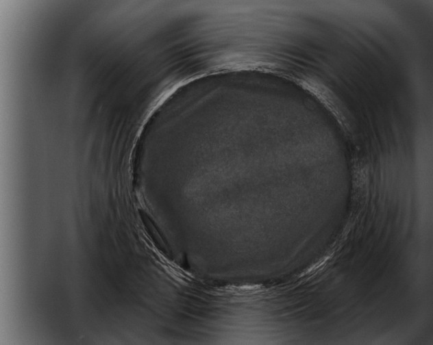X0000052591023200507152339