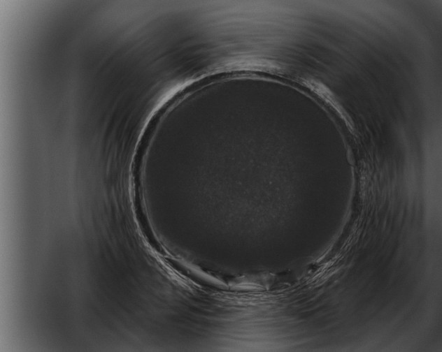 X0000052591024200507152339