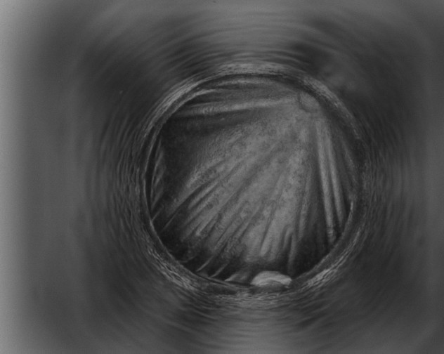 X0000052591025200507152339