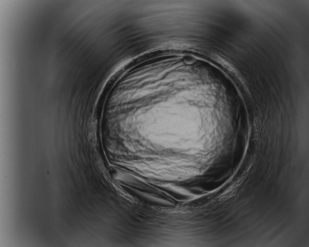 X0000052591029200507152339