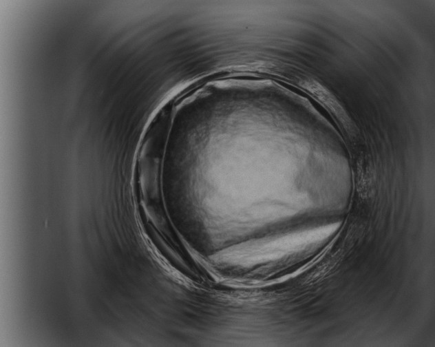X0000052591036200507152339