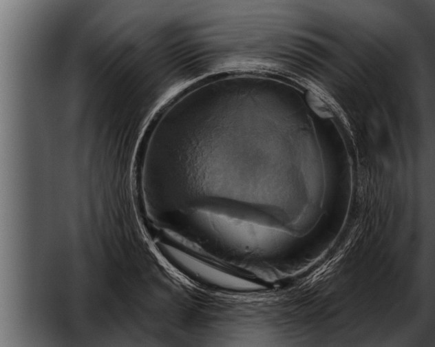 X0000052591037200507152339
