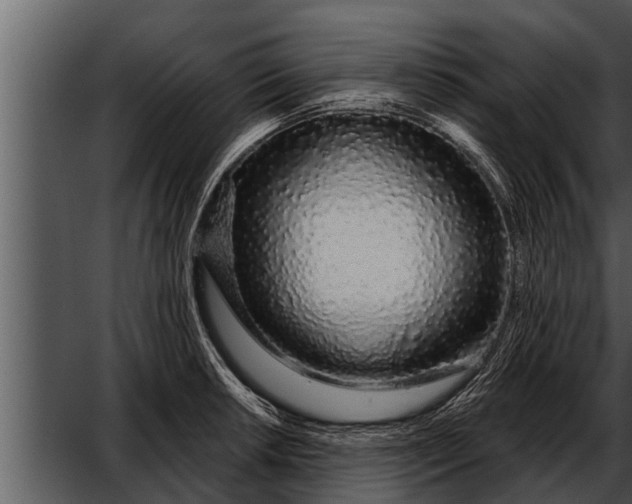 X0000052591042200507152339