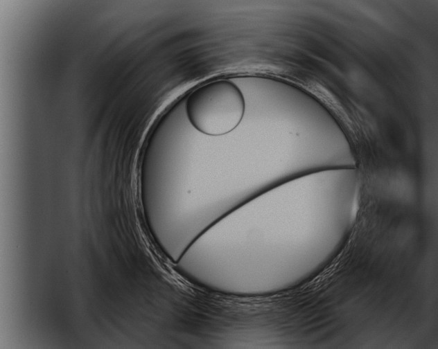 X0000052591044200507152339