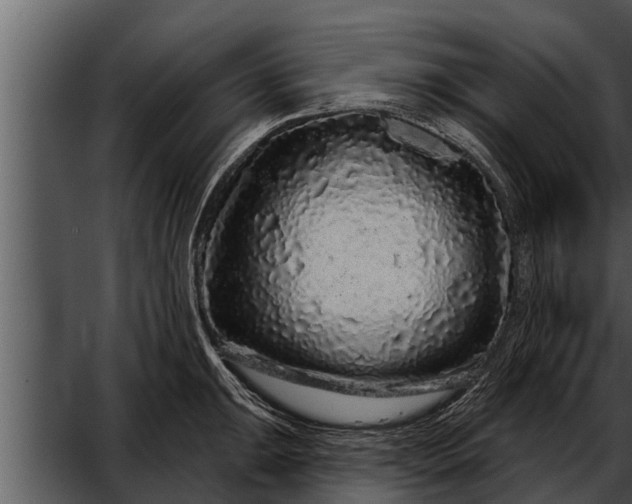 X0000052591047200507152339