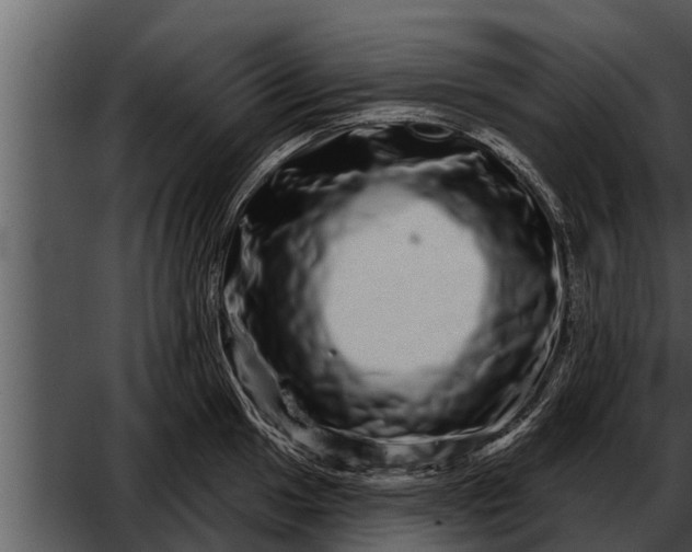 X0000052591049200507152339