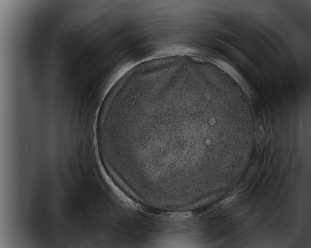 X0000052591055200507152340