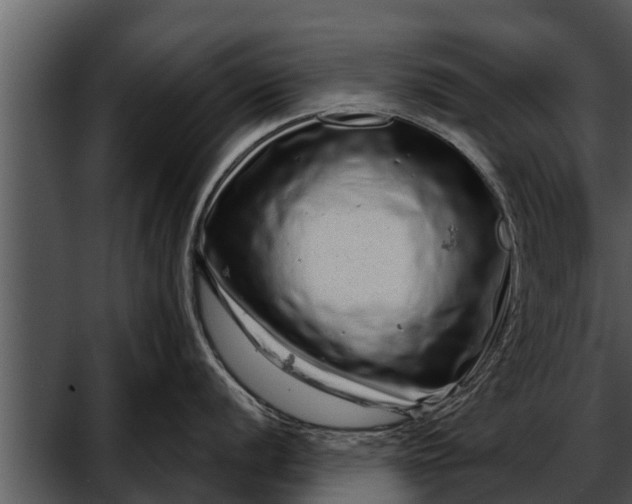 X0000052591056200507152340
