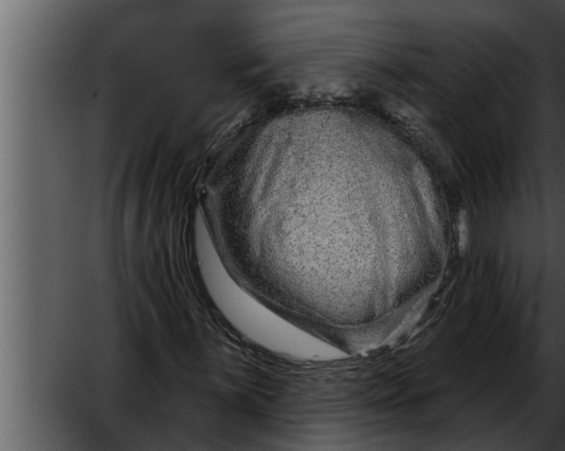 X0000052591059200507152339