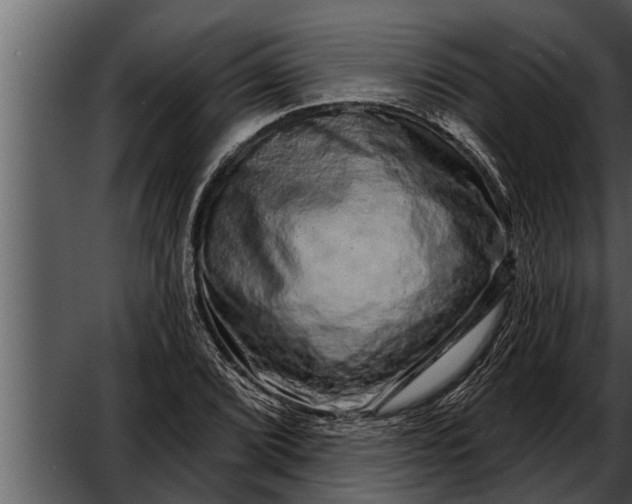 X0000052591072200507152339