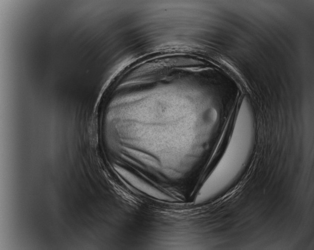 X0000052591075200507152338