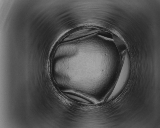 X0000052591076200507152338