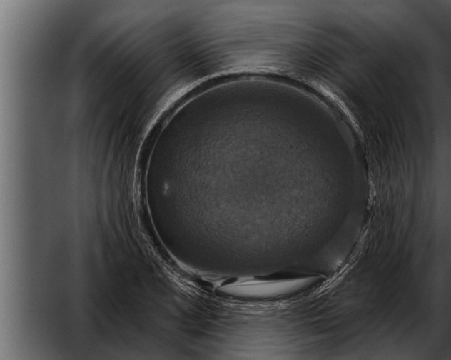 X0000052591077200507152338