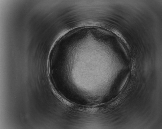 X0000052591080200507152338