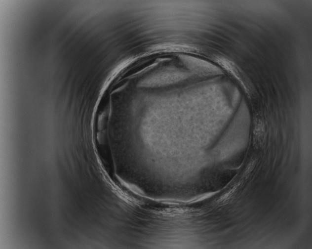 X0000052591082200507152338