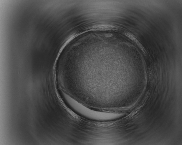 X0000052591083200507152338