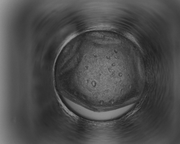 X0000052591087200507152338