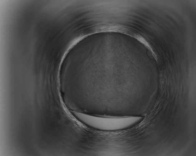 X0000052591088200507152338