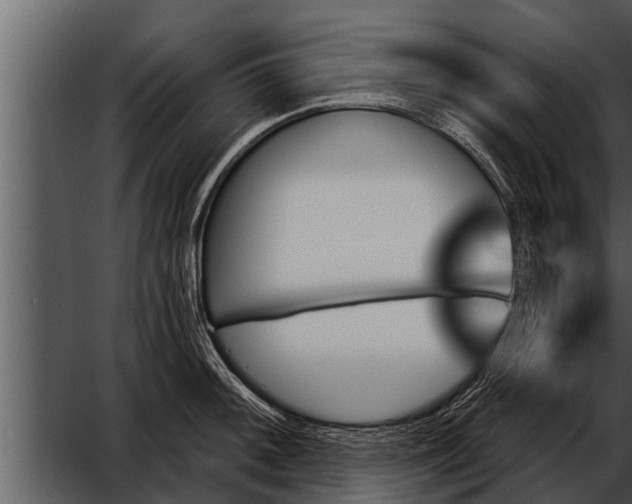 X0000052591092200507152338