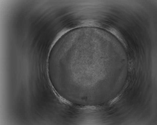 X0000052591094200507152338