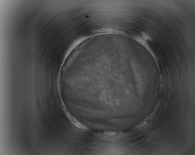 X0000052591098200507152338